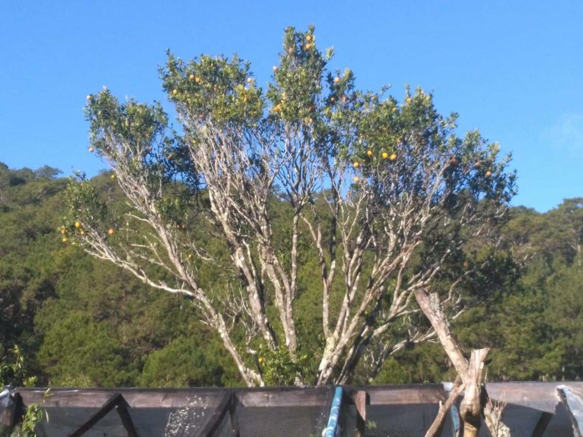 Banga-An Bnb And Coffee House Sagada Εξωτερικό φωτογραφία